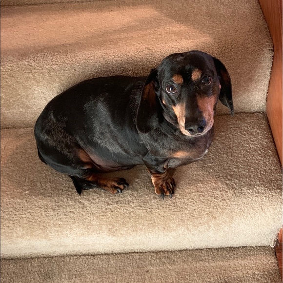 Meet your Posher, Mari anne - Picture 1 of 1